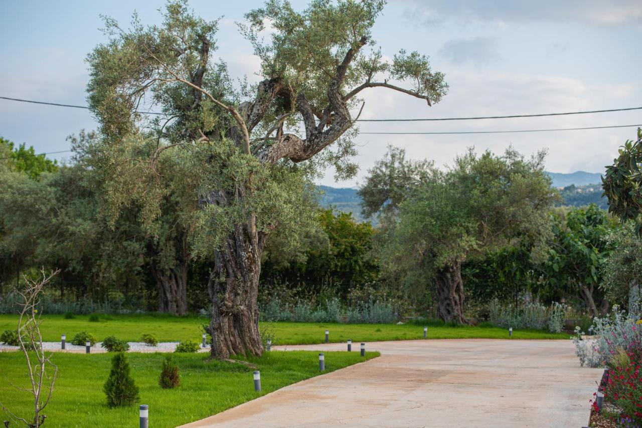 Aerinos Private Villa Lefkada City Exterior photo
